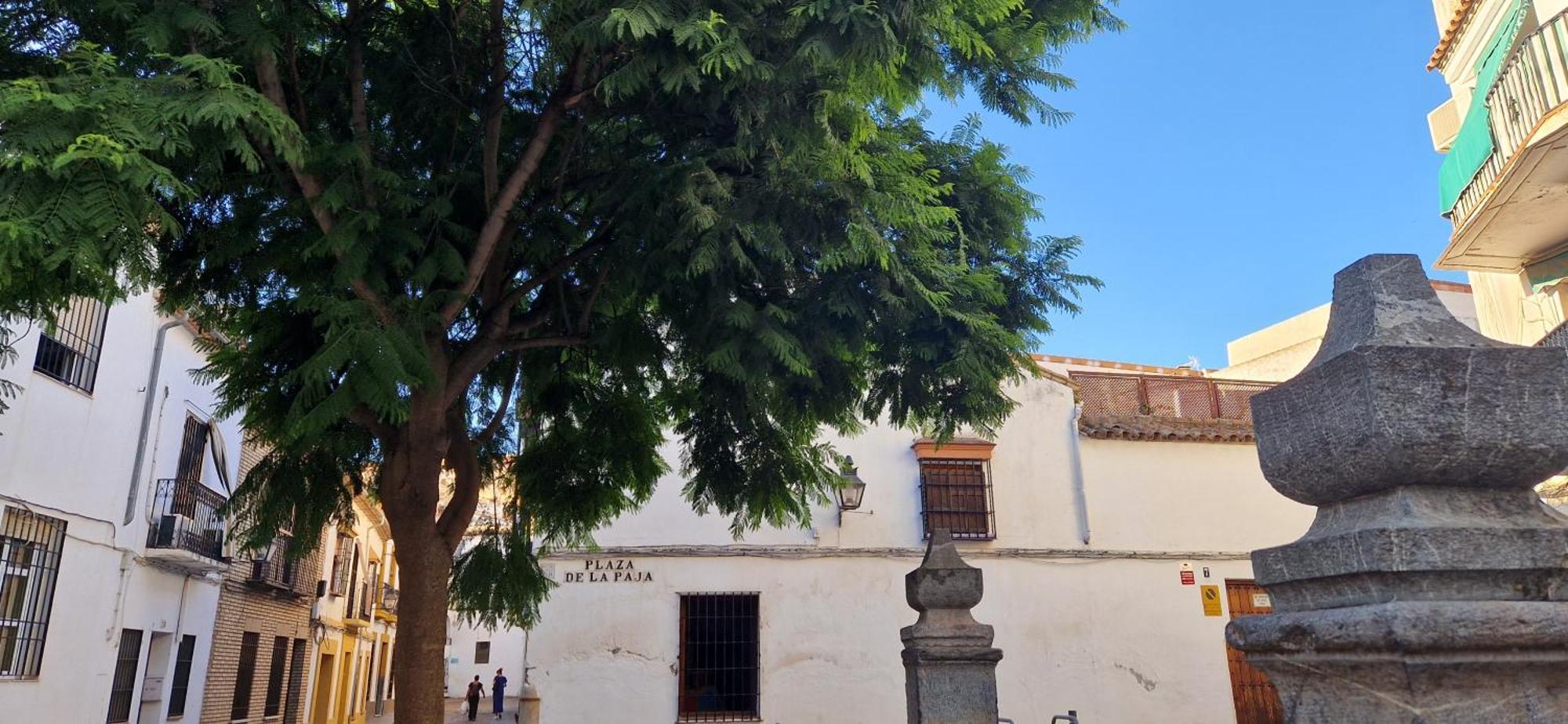 Apartamento Terraza De La Axerquia Córdoba Exterior foto